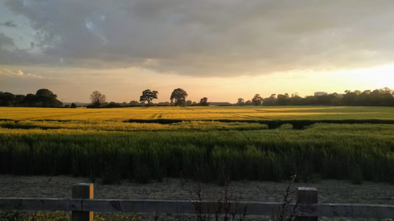 Colchester