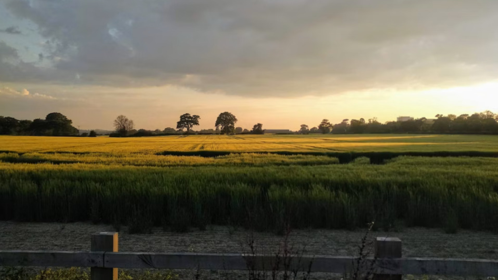 Colchester