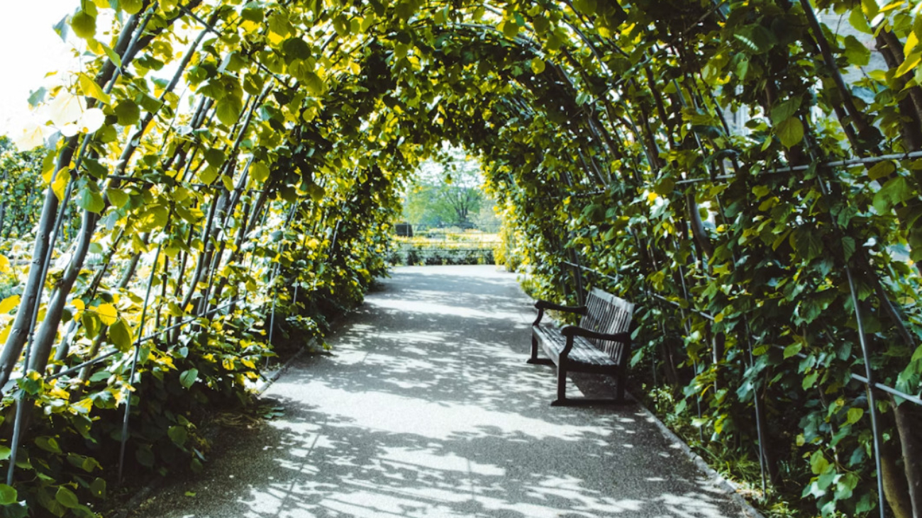 Queen's Park
