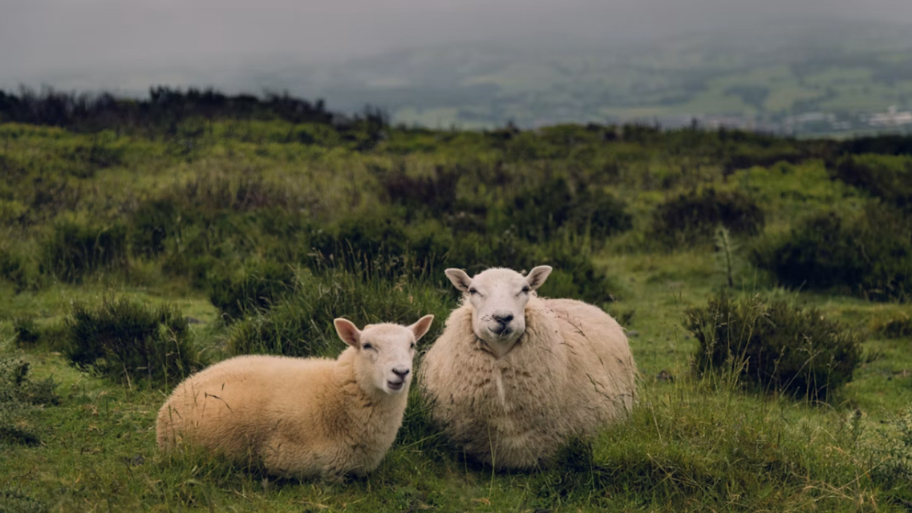 Wales