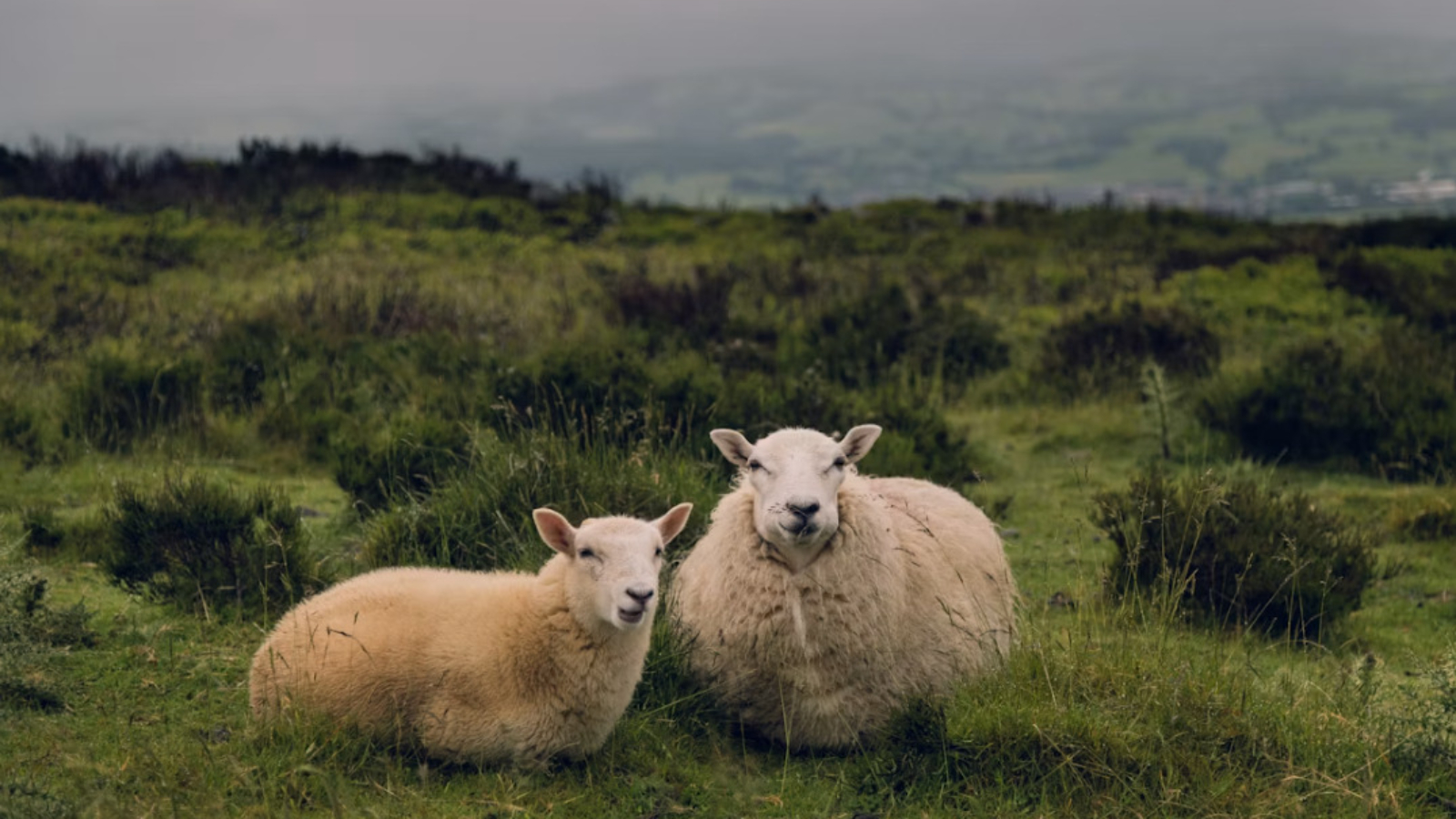 Wales