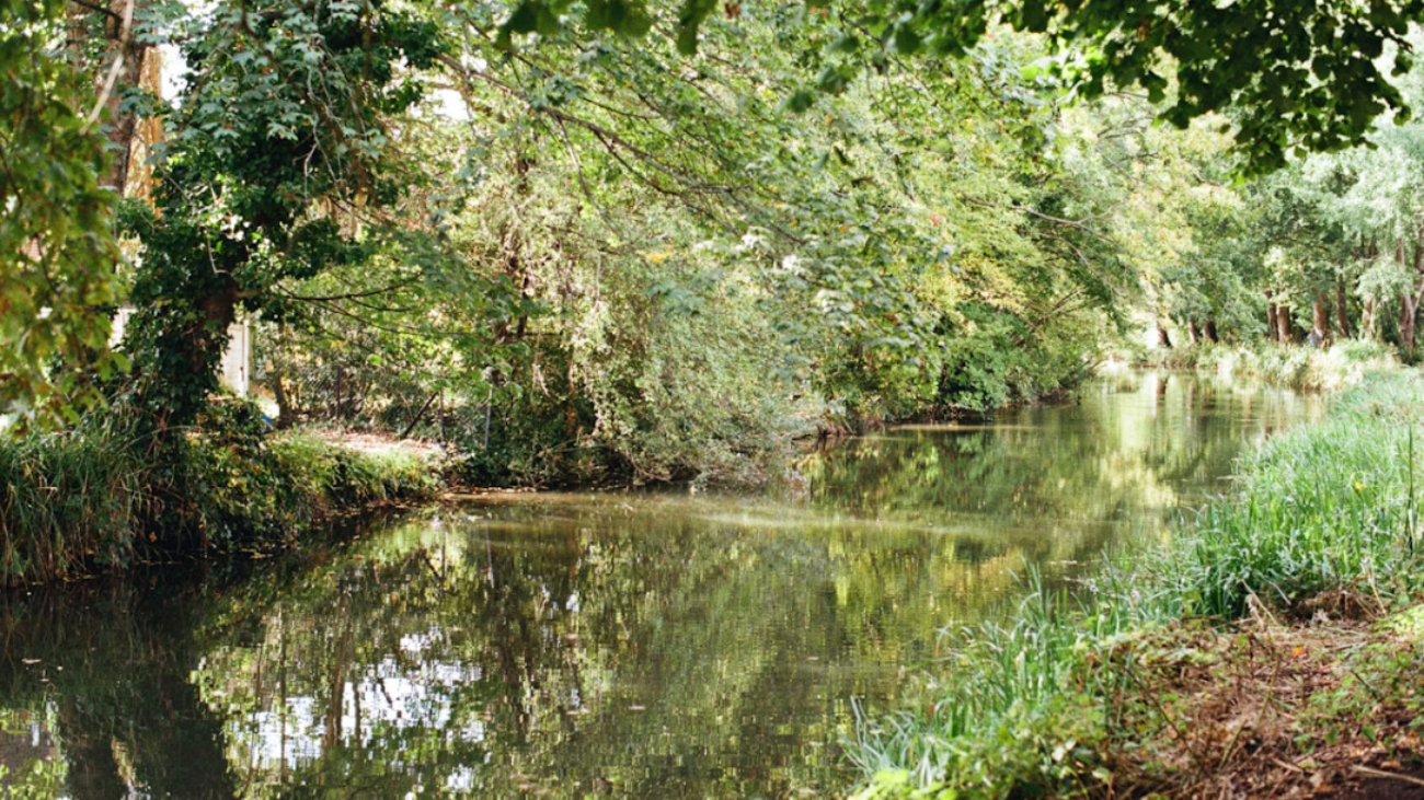 basingstoke