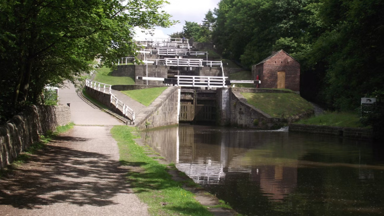 bingley