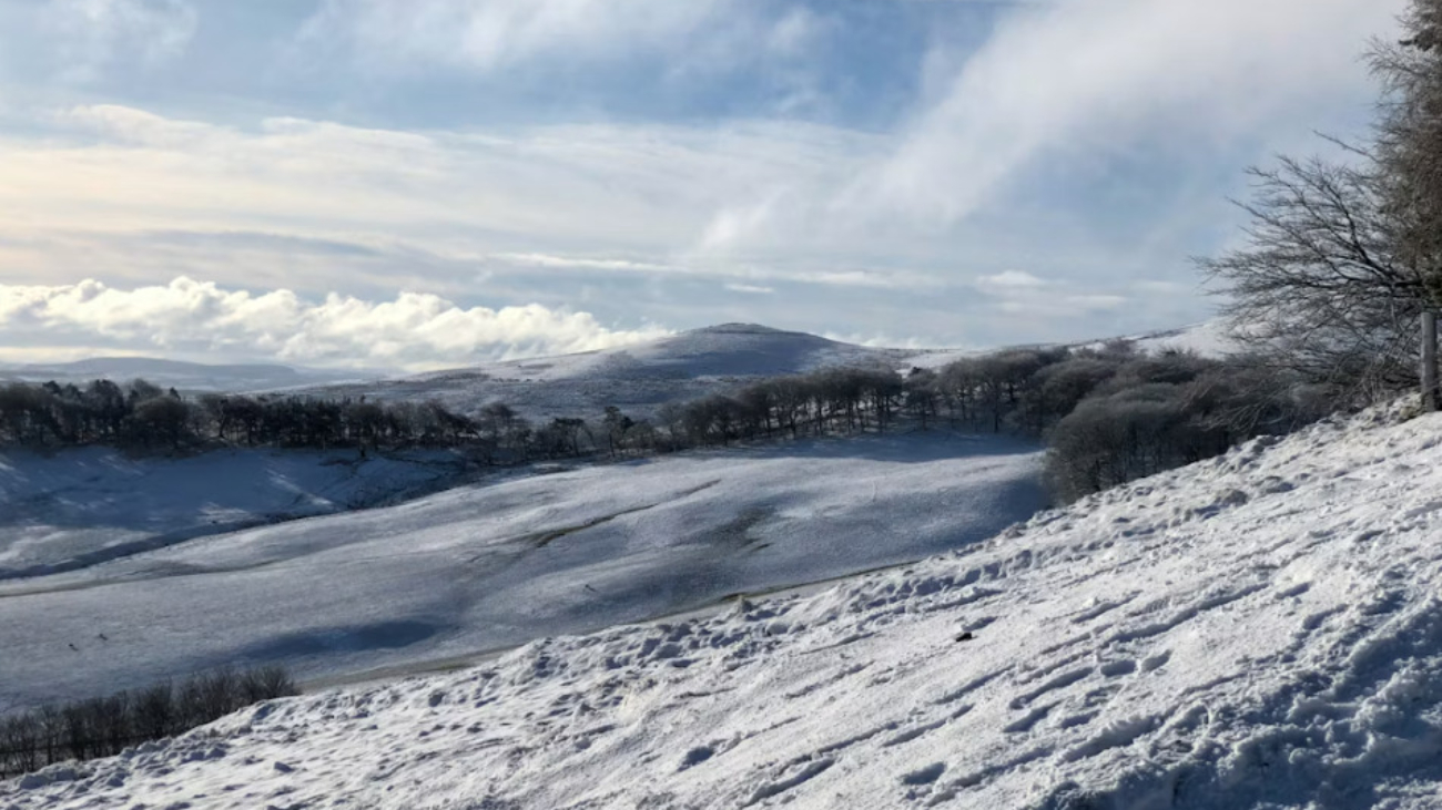 blackburn