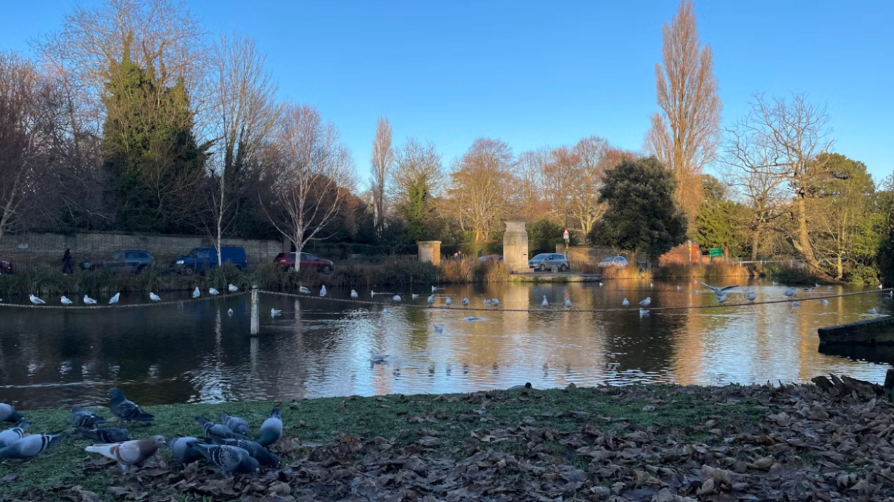 carshalton