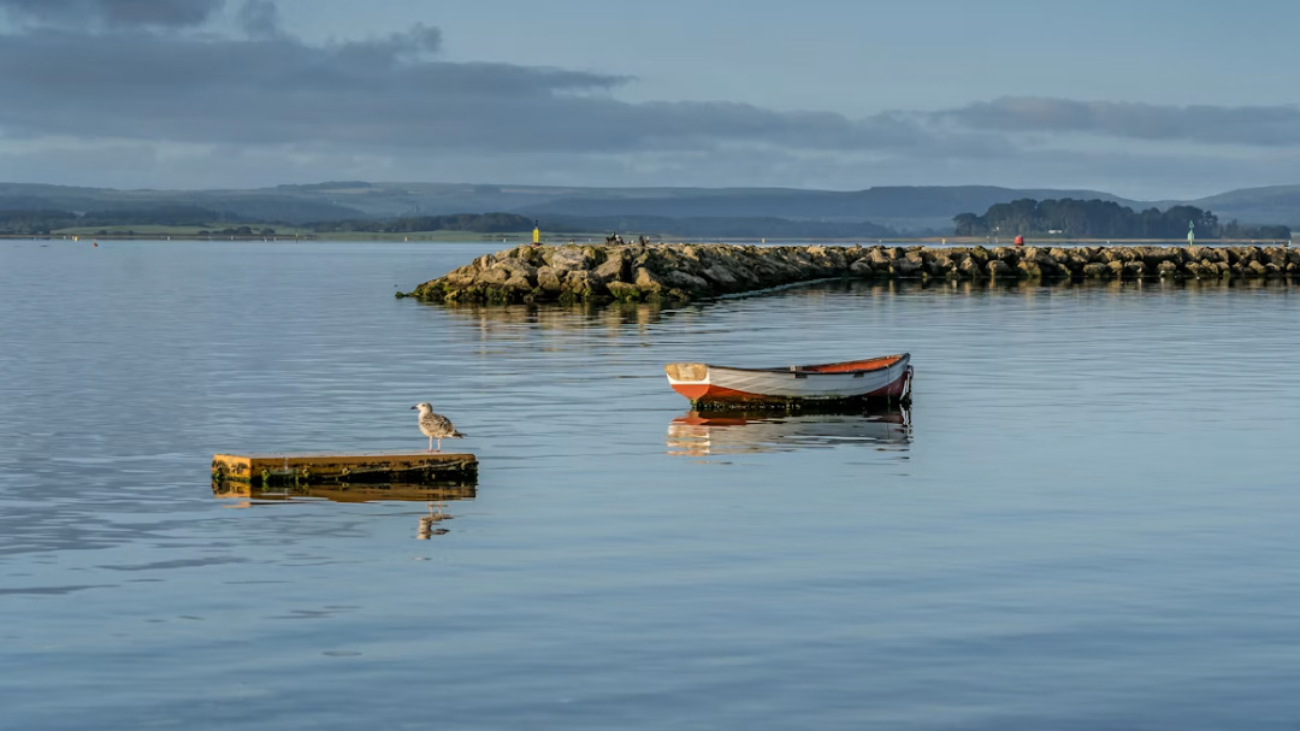 poole