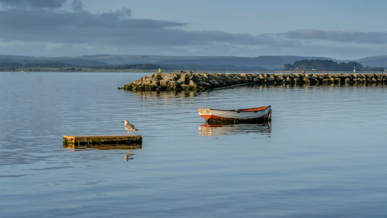 poole