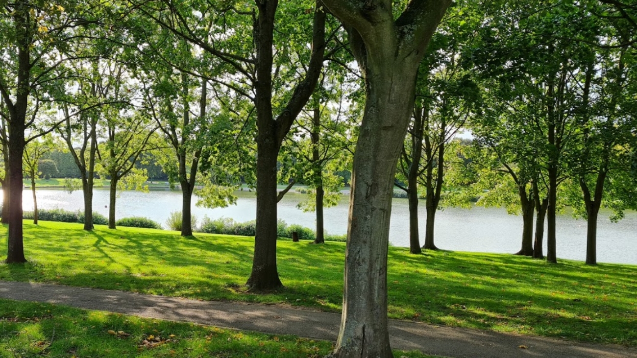 stevenage