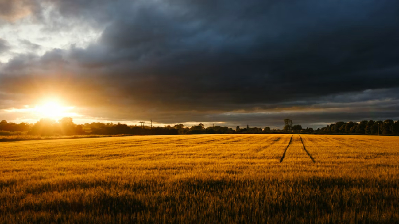 thirsk