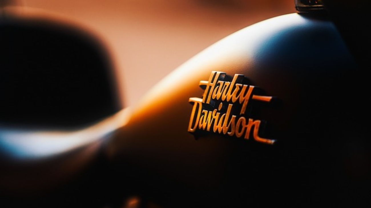 motorcycle, transportation, emblem, harley-davidson, badge, logo, chopper, travel, motorcycle, logo, logo, logo, logo, logo