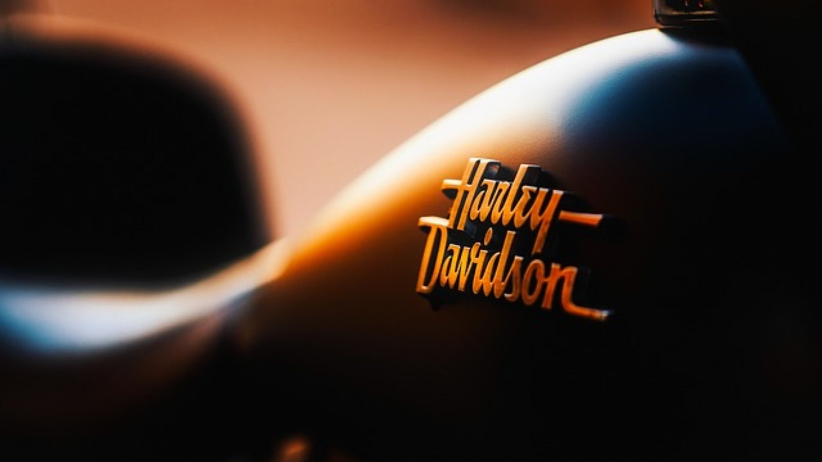 motorcycle, transportation, emblem, harley-davidson, badge, logo, chopper, travel, motorcycle, logo, logo, logo, logo, logo